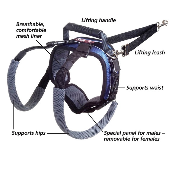 💕NWT Rear Harness - Picture 3 of 9